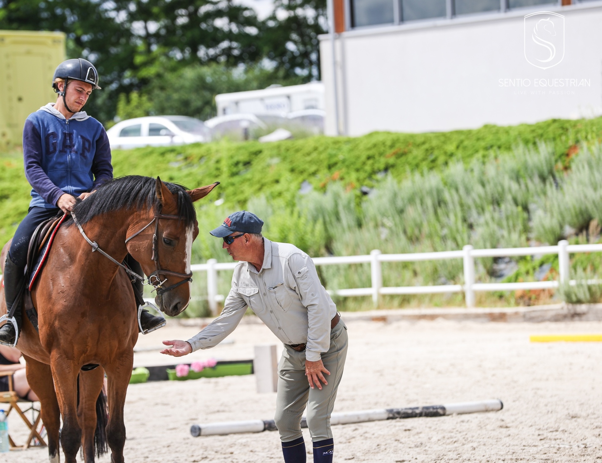 Sentio Academy — szkoła jazdy konnej